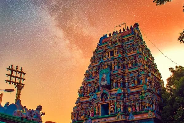 Pet Services in Hyderabad