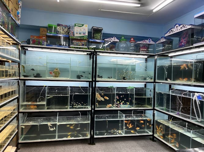 The Fish World Aquariums and Pets