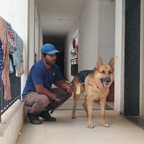 Intelligent K9 Training Services