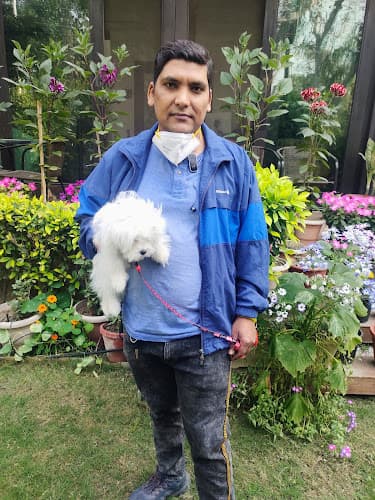 Delhi Dog trainer