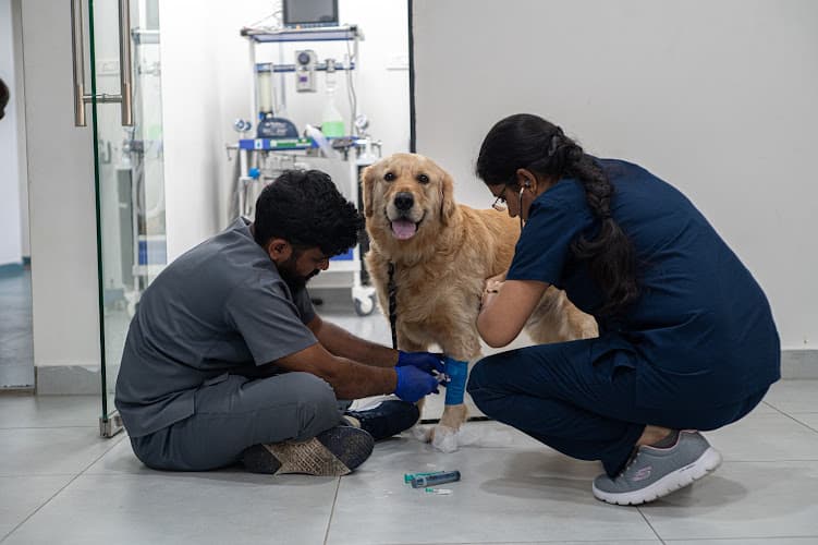 Seven Oaks Pet Hospital 24/7 Multi-Speciality