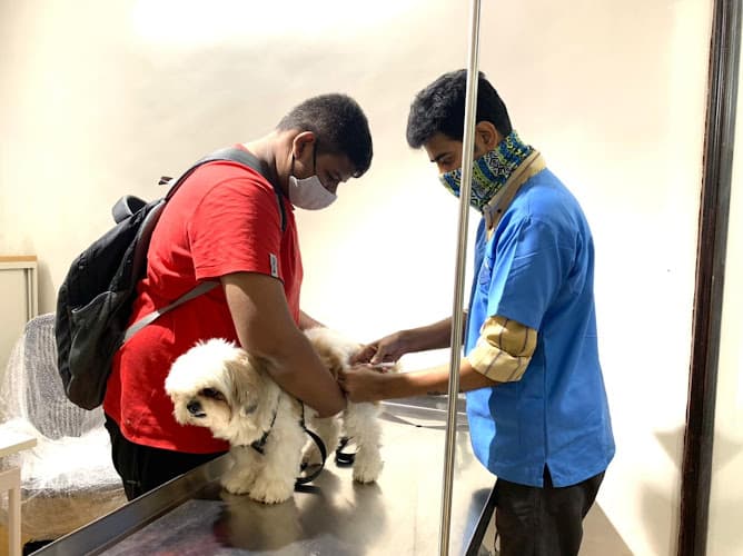 Prolife Veterinary Clinic