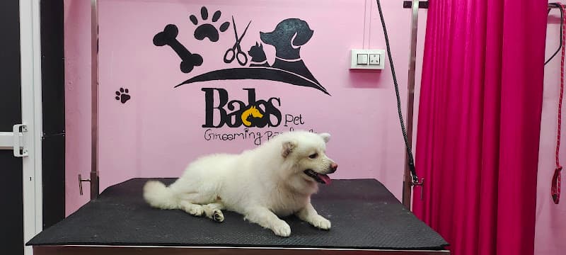 Babs Pet Grooming Center