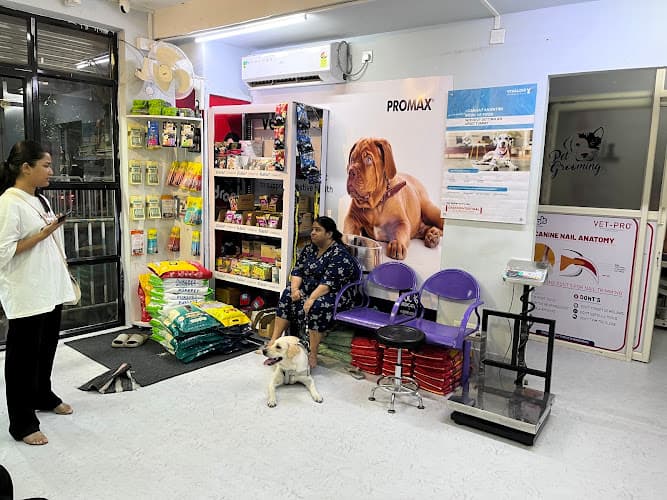 The Paws Avenue - Best Pet Clinic in Kolkata