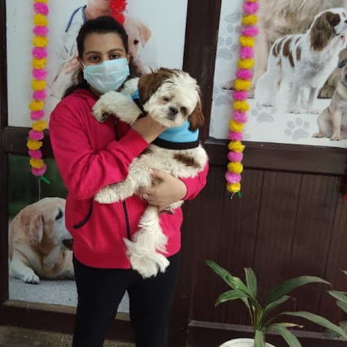 Dr. Poonia pet centre 24x7