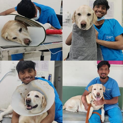 Crown Vet Kalyani Nagar