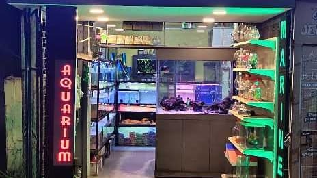 Aqua Pets