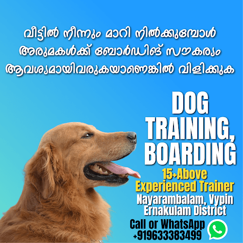 Dog training
