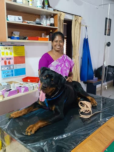 Vet House, GVs Veterinary Clinic