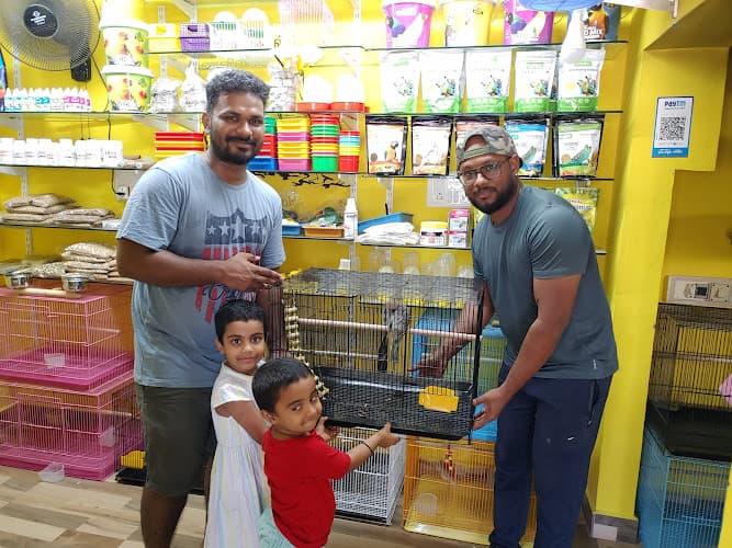 Fancy Birds Chennai Pet Shop (Specially for Hand Tamed Birds Shop)