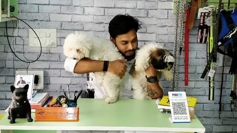 Little Paw's Vet Clinic