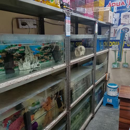 Fish Planet and Pet Shop