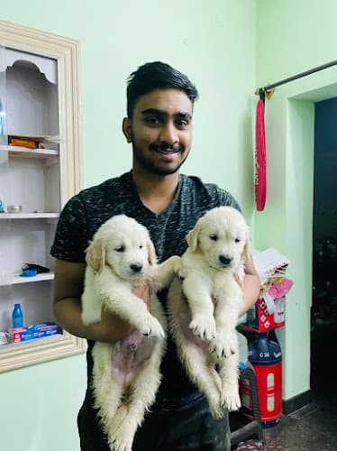 Woof babies (Dog sales and Breeders )