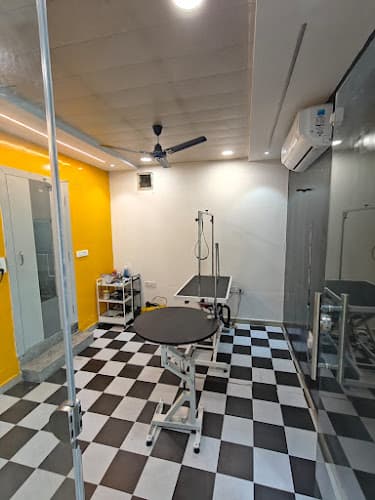 B2M VETCARE HOSPITAL GROOMING BOARDING