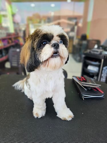 Furberry by April's Pet Care