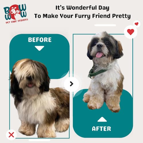 Bow Wow Pet Services