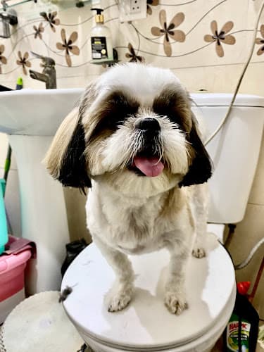 Zain Grooming Centre