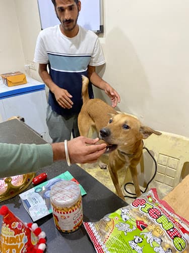 Happy Pups Pet Resort