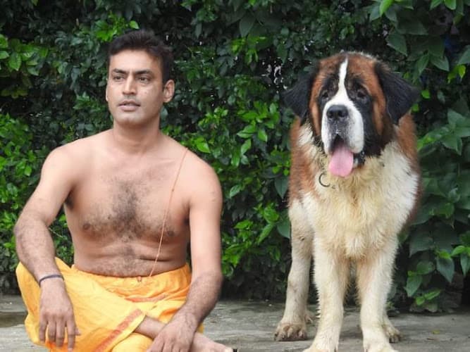 Action Dogs Services Pvt. Ltd.