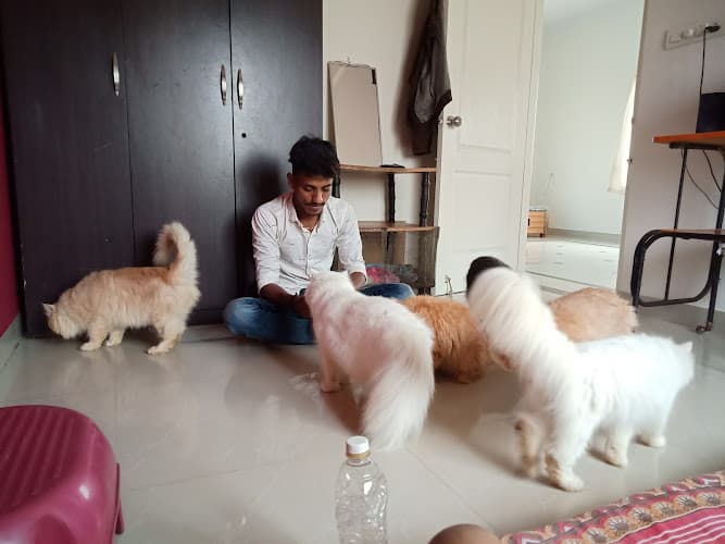 MEEMEE PAWS GROOMING CARE