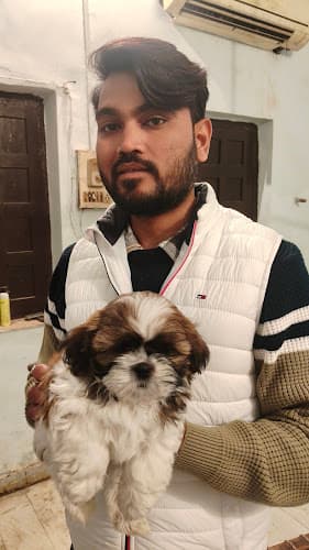 Pari Pets & Aquarium - Pet Shop in Sector 9, Gurgaon