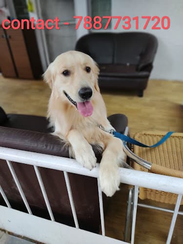 Vedant Dog Walking and bath Service pune