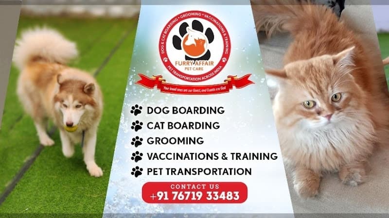 Furry Affair Pet Care