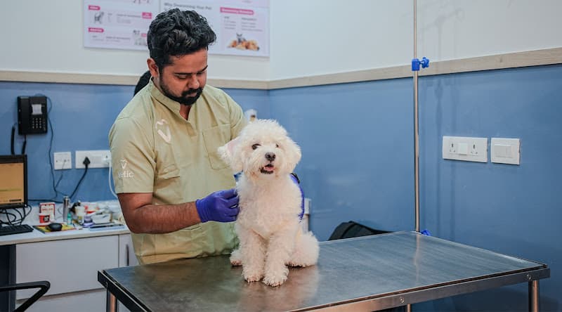 Vetic Pet Clinic Powai