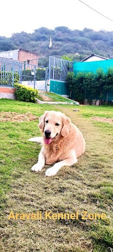 Aravali Kennel Zone - Dog Hostel, kennel & creche | Dog Cremation Gurugram | Pet Burial In Gurgaon