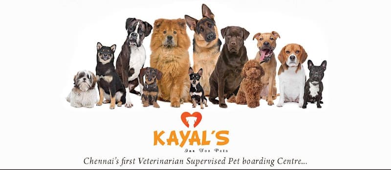 Kayal's Inn for Pets