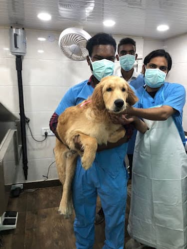 Dr Rahul's Lifeline Pet Clinic