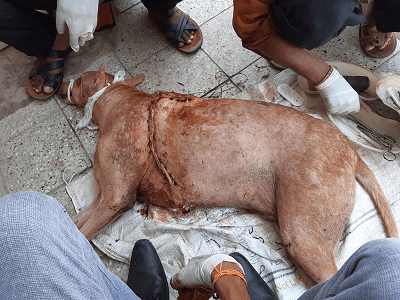 Shri Navkar Sarvar Kendra