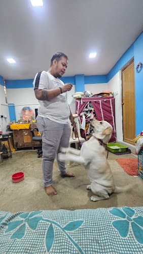 Furland pet boarding & training squad