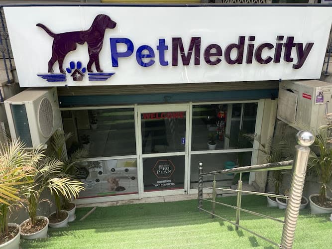 Petmedicity Hospital