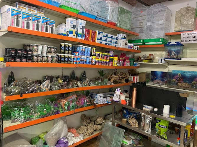 Petland Aquariaum and Pet shop