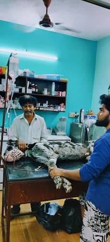 Mr.& Mrs .Veterinary Clinic