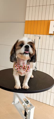 PETMARK - Pet Store & Grooming Studio