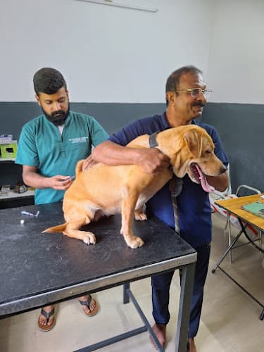 PETSEE PET HOSPITAL - DIAGNOSTIC AND PET GROOMING CENTRE (PATHANAMTHITTA VETERINARY HOSPITAL, Kozhencherry Branch)