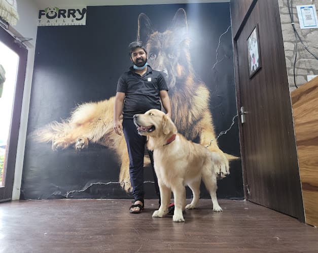 Furry Tails the pet's paradise