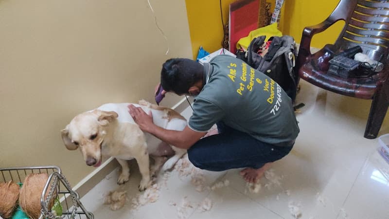 Ame's Pet Grooming Services | doorstep pet grooming | Dog And Cat Grooming