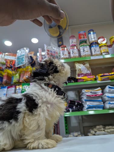 Namma pharma and pet store