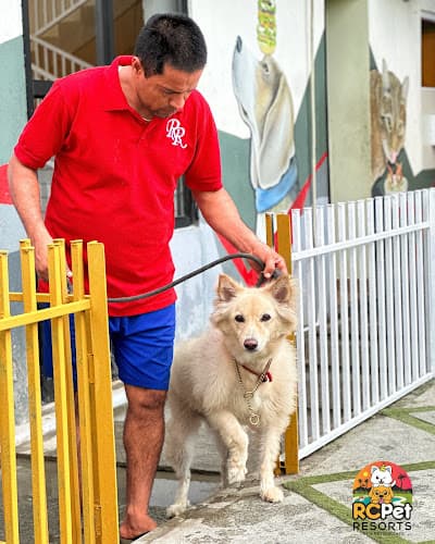 Pet Boarding & Grooming - RC Pet Resort