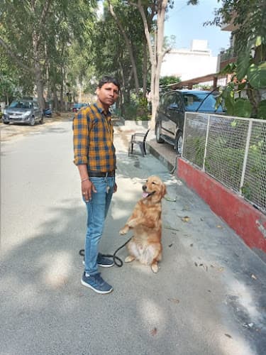 Dog training services