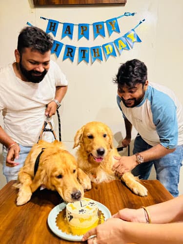 Cafe Pooch - Best Pet Friendly Cafe, Dog Day Care, Grooming Services, & Bathing Services in Noida