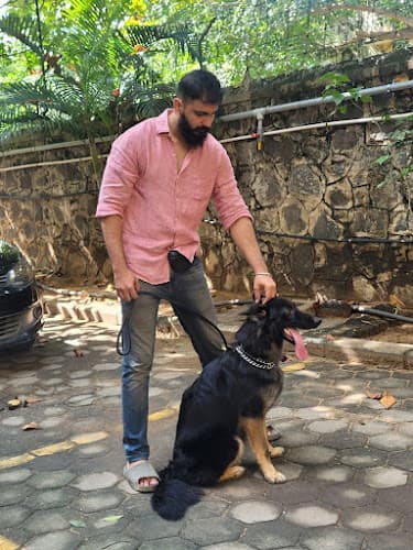 Universe Dog Training, Grooming and Boarding