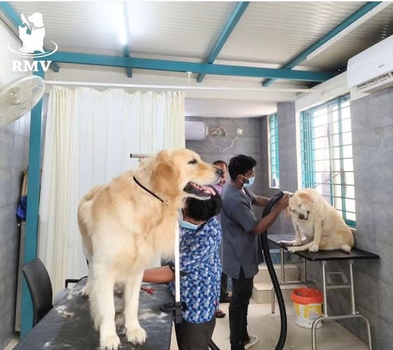 RMV MULTI-SPECIALITY VETERINARY CLINIC