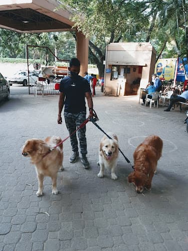Rajkumar Professional Dog Walker