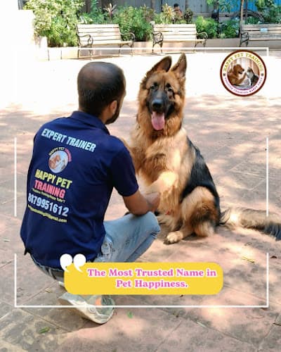 Happy Pet Training – Best Dog Training Services in Mumbai
