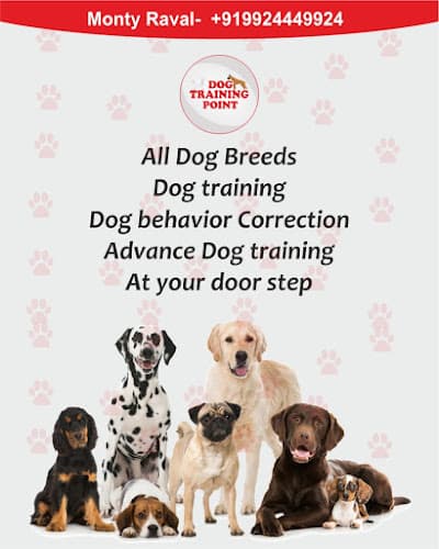 Monty’s Dog Training