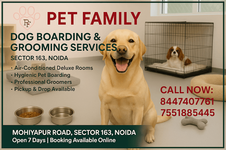 Pet Family Dog Boarding & Grooming